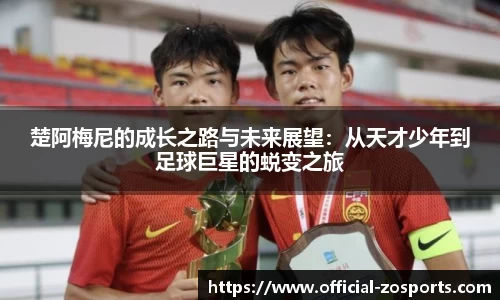 中欧体育官方网站