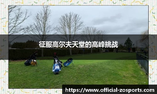中欧体育官方网站